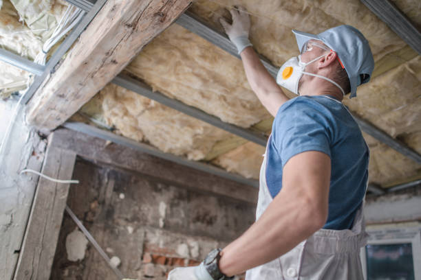 Best Insulation for Specific Applications in Serenada, TX