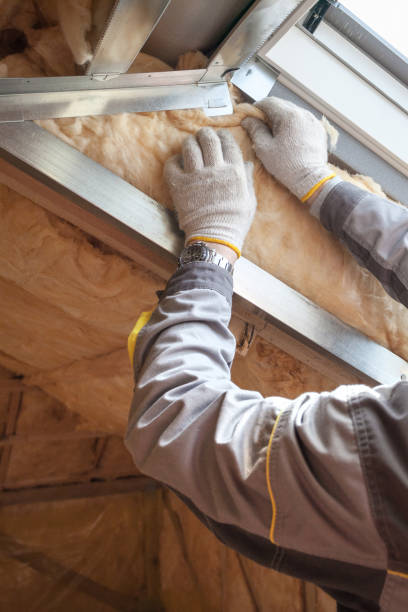 Best Types of Insulation in Serenada, TX