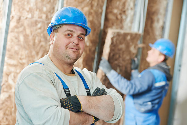 Best Insulation Installation Services in Serenada, TX